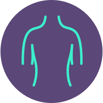 Truncal figure outline represents AKLIEF® (trifarotene) Cream pivotal studies 1 & 2 on truncal acne vulgaris 