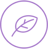 Leaf icon represents AKLIEF® (trifarotene) Cream Vehicle ingredient of being Paraben-free